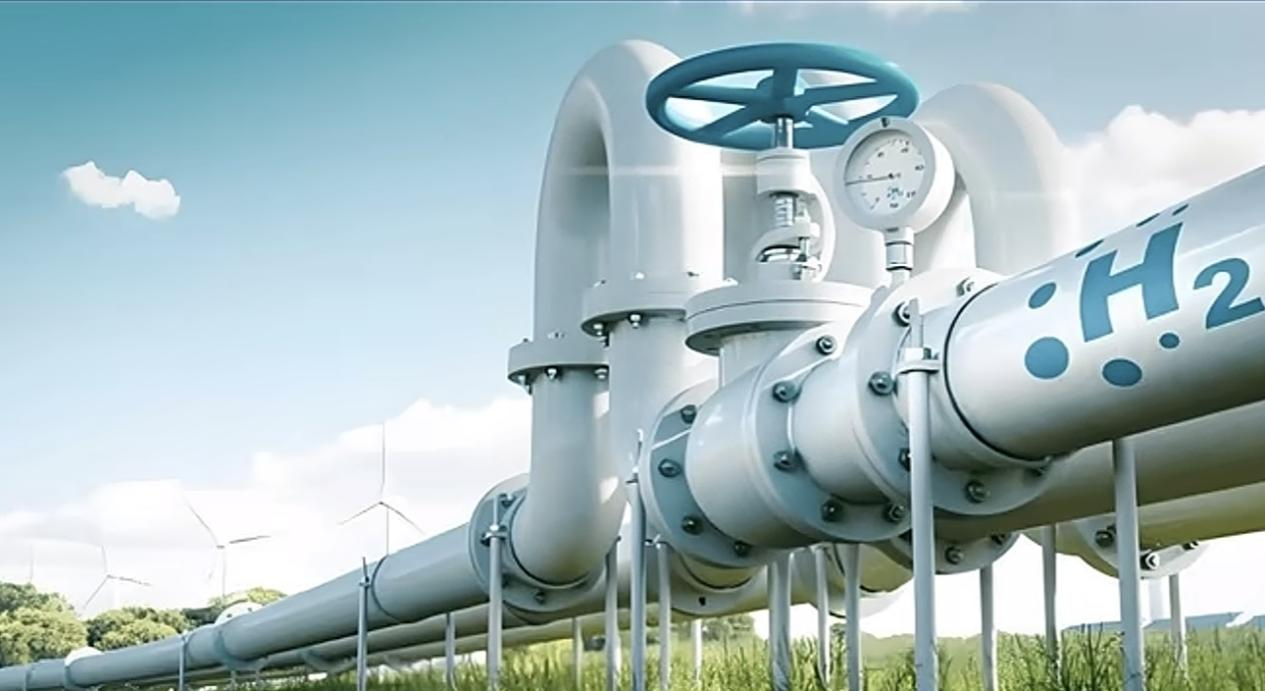 宝运莱·(中国区)最新官方网站